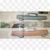 �����������ոܽ���������-������