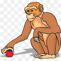 狗猿动物工作表一年级蹲猴-空若网 狗猿动物工作表一年级蹲猴-空若网