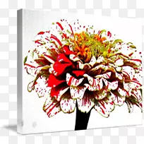 花卉设计切花花束菊花-空若网 花卉设计切花花束菊花-空若网