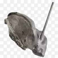 ��ɫ����׵��-������