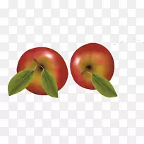 苹果富士食品-两个苹果水果-空若网 苹果富士食品-两个苹果水果-空若网