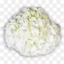 ��������л�����-������