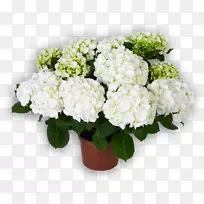 �������л��������-������