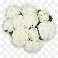 �����л����ͻ���-������