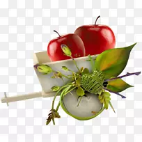 ƻ���¸���˹-����ƻ��-������