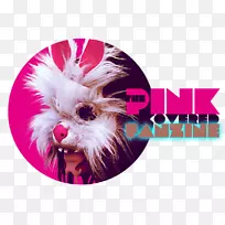 ����Ȯ��-��-������