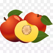 ֽƻ��.�ֻ��ƻ��Ҷ-������