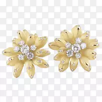 �������鱦��ʯ�鱦-������