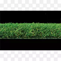 草坪草,长方形灌木-空若网 草坪草,长方形灌木-空若网