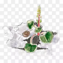 翡翠圣诞饰品-翡翠-空若网 翡翠圣诞饰品-翡翠-空若网