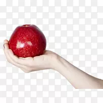 ���ƻ��-������