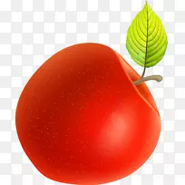 ��÷����ƻ�������ƻ��-������