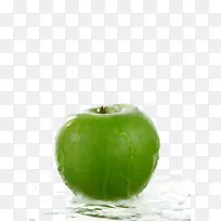 ʷ��˹����ƻ��-����ƻ��-������