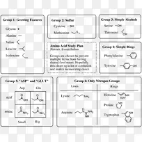 氨基酸医学院入学考试有机化学生物化学三角学备忘单-空若网 氨基酸医学院入学考试有机化学生物化学三角学备忘单-空若网