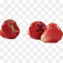 爪哇苹果普通番石榴(SyzygiumJambos)吃蜡苹果-空若网 爪哇苹果普通番石榴(SyzygiumJambos)吃蜡苹果-空若网