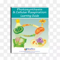 ϸ������������ÿ�ѧ-������