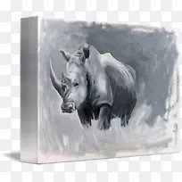 牛画野生动物鼻子杰弗里霍恩画-空若网 牛画野生动物鼻子杰弗里霍恩画-空若网