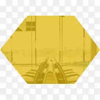 �߶Գƽ�����-������