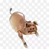 ��������������-������