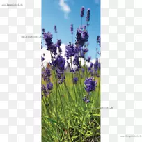 英国薰衣草法国薰衣草人造花网横幅-花-空若网 英国薰衣草法国薰衣草人造花网横幅-花-空若网