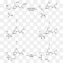催化三线丝氨酸蛋白酶催化活性位点-空若网 催化三线丝氨酸蛋白酶催化活性位点-空若网
