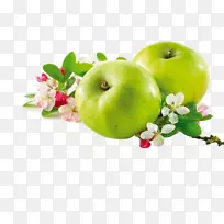 ƻ���컨ʳƷ-��ɫƻ����-������