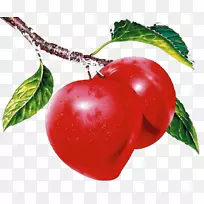 油桃苹果-空若网 油桃苹果-空若网