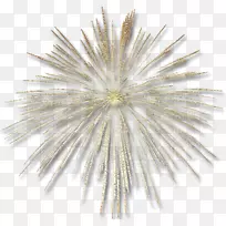 Adobe烟花-烟花爆竹-空若网 Adobe烟花-烟花爆竹-空若网