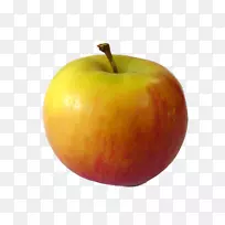 ��֭ƻ����ƻ������Ƭ-������