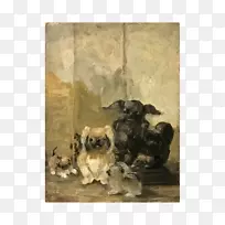 Ȯ��С�����ӻ�-С��-������