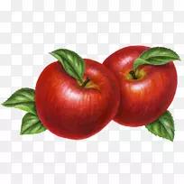 苹果红鲜美的手绘苹果-空若网 苹果红鲜美的手绘苹果-空若网