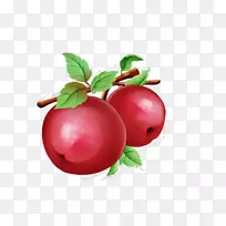 �ͰͶ�˹ӣ��ƻ���¸���˹-Ϳ��ƻ��ͼƬ����-������