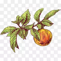 ���ֹ���.�ֻ�ƻ��-������