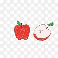Adobe插画.红色手绘苹果插画-空若网 Adobe插画.红色手绘苹果插画-空若网