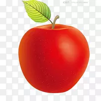 ƻ��ʳƷ������-��ͨ��ƻ��-������