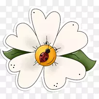 花卉设计昆虫切花剪贴画昆虫-空若网 花卉设计昆虫切花剪贴画昆虫-空若网