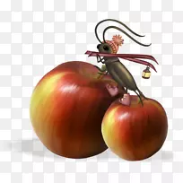 ��ݮƻ��ˮ���ֻ��ƻ��-������