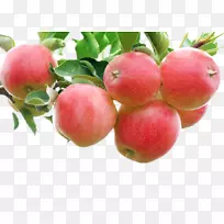 苹果粉碎水果盛宴-鲜红苹果-空若网 苹果粉碎水果盛宴-鲜红苹果-空若网