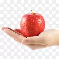 ƻ���¸���˹-�޻�����ƻ��-������