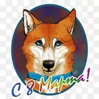 红狐鼻子野生动物-2019年妇女节-空若网 红狐鼻子野生动物-2019年妇女节-空若网