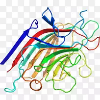 线点生物剪贴画线-空若网 线点生物剪贴画线-空若网