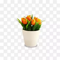 �����㻨���л�����-������-������