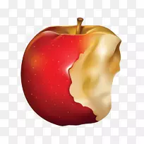 苹果水果剪贴画.手绘咬苹果-空若网 苹果水果剪贴画.手绘咬苹果-空若网