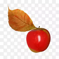 ƻ��Ҷˮ��������-ƻ��Ҷ-������