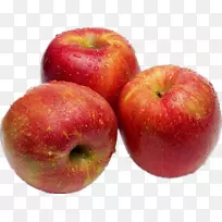 ƻ����ʳƷˮ����˾-��������ƻ��-������