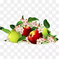 苹果还活着-绿色和红色的苹果-空若网 苹果还活着-绿色和红色的苹果-空若网