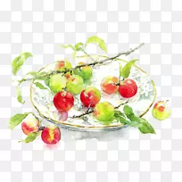 水彩画温莎&牛顿油画-红苹果-空若网 水彩画温莎&牛顿油画-红苹果-空若网