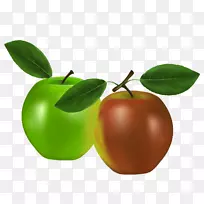 ˮ��ƻ��������.��ͨƻ��-������