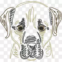 猎犬边境牧羊犬澳大利亚牧羊犬品种-空若网 猎犬边境牧羊犬澳大利亚牧羊犬品种-空若网