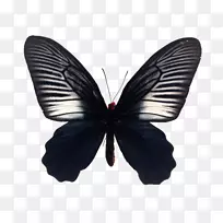 ë���׵ĺ����������-������